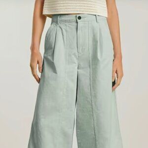 Everlane Light Blue Tourist Pant